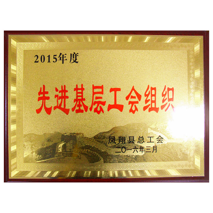 公司工会被凤翔县总工会评为2015年度先进基层工会组织