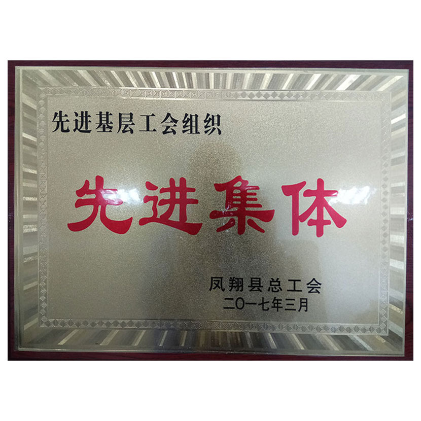 公司工会被凤翔县总工会评为2016年度先进基层工会组织